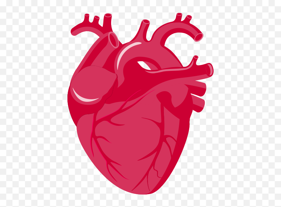 Rate Clipart Heart Failure - Roche Nt Probnp Png,Failure Png
