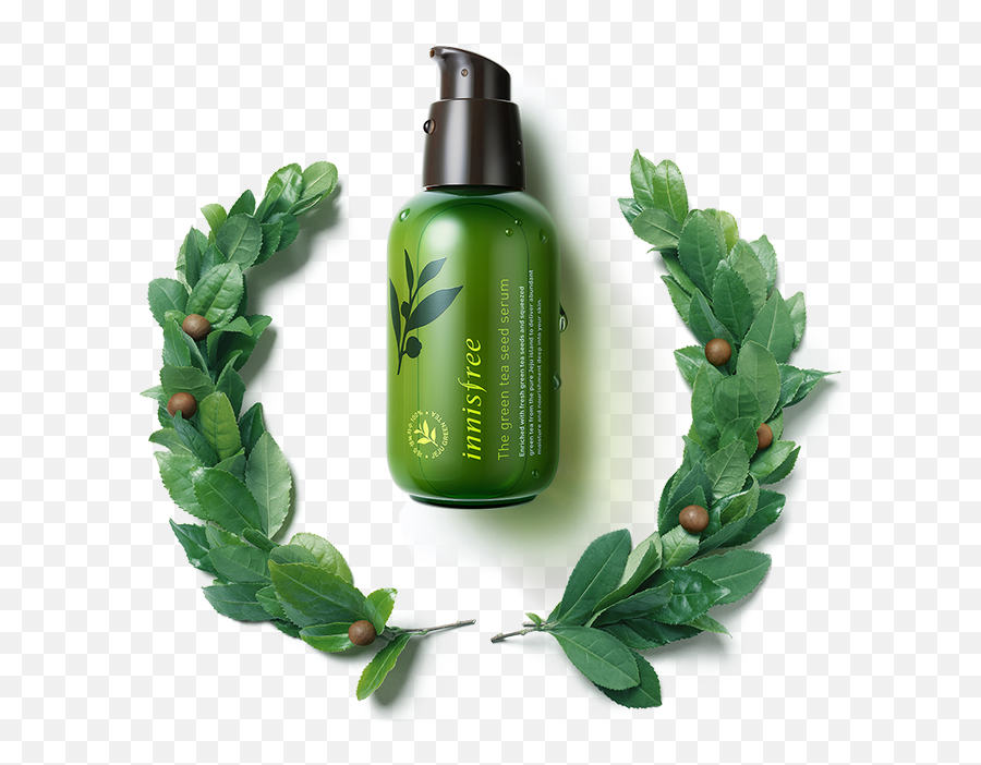 Innisfree Green Tea Seed Serum - Green Tea Serum Innisfree Png,Green Tea Png