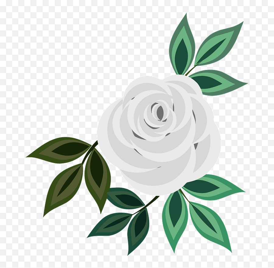 White Rose Clipart - Flower Icon Png Drawing,White Rose Transparent
