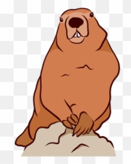 Ground Hog Marmot Muzzle Tooth - Marmota Cartoon Png,Hog Png