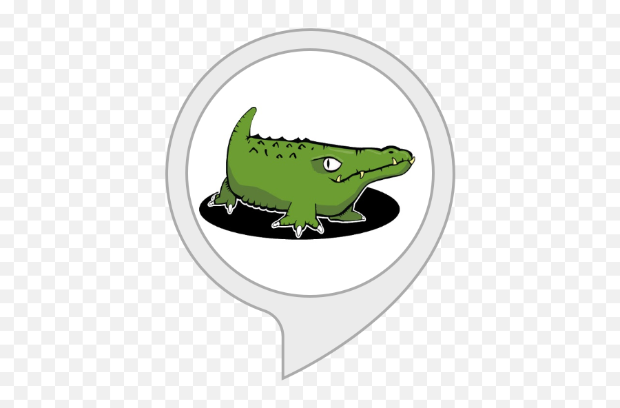 Alexa Skills - Alligator Finder Png,Crocodile Transparent
