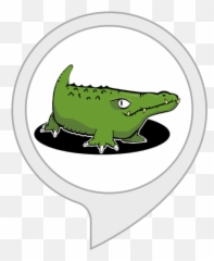 Alexa Skills - Alligator Finder Png,Crocodile Transparent