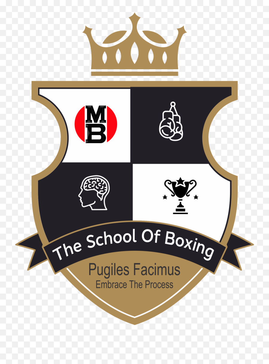 Boxing Education Master Llc United States - Solid Png,Boxing Png