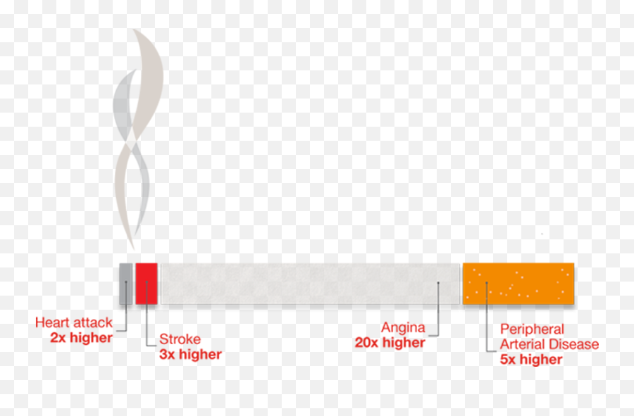 Smoking And Your Heart The Foundation Png Cigarette Smoke Transparent
