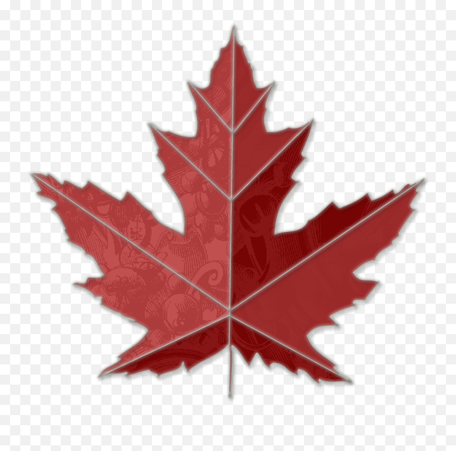 Maple Leaf Art - Etsy