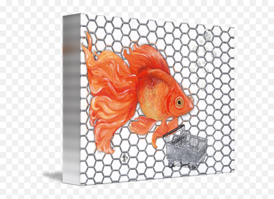 Attention Goldfish Shoppers By Joshua Modlin - Goldfish Png,Goldfish Transparent