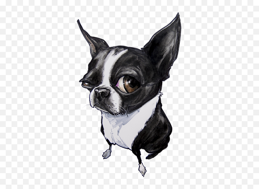 Boston Terrier Greeting Card For Sale - Boston Terrier Dog Drawings Png,Boston Terrier Png