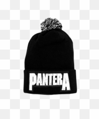 Download Hd Home Pantera Logo Beanie - png