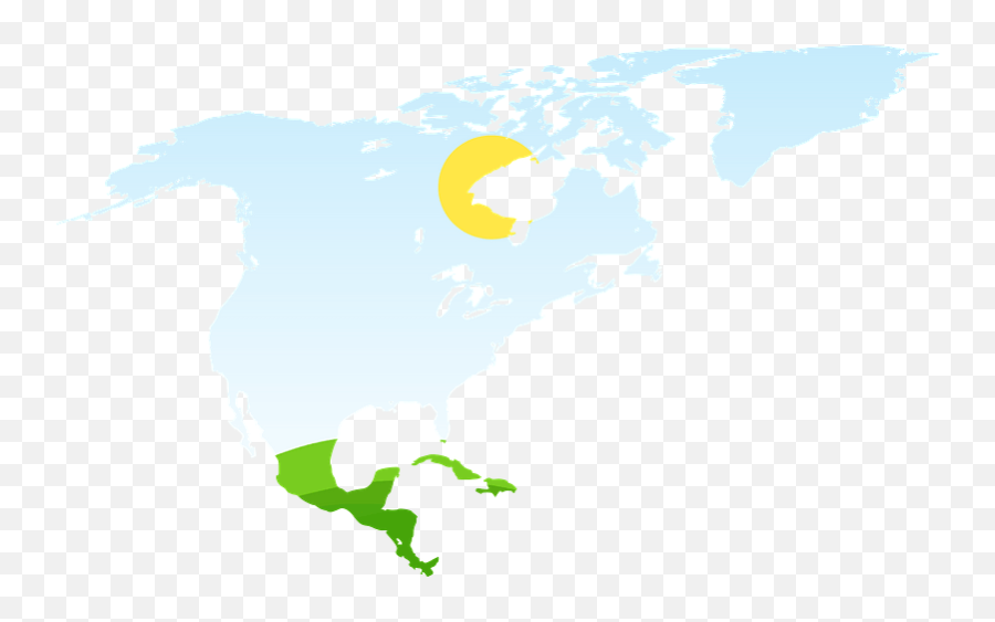 North America Clipart - World Map Png,North America Transparent