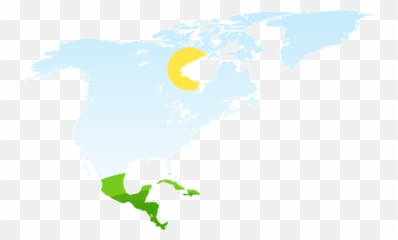 North America Clipart - World Map png