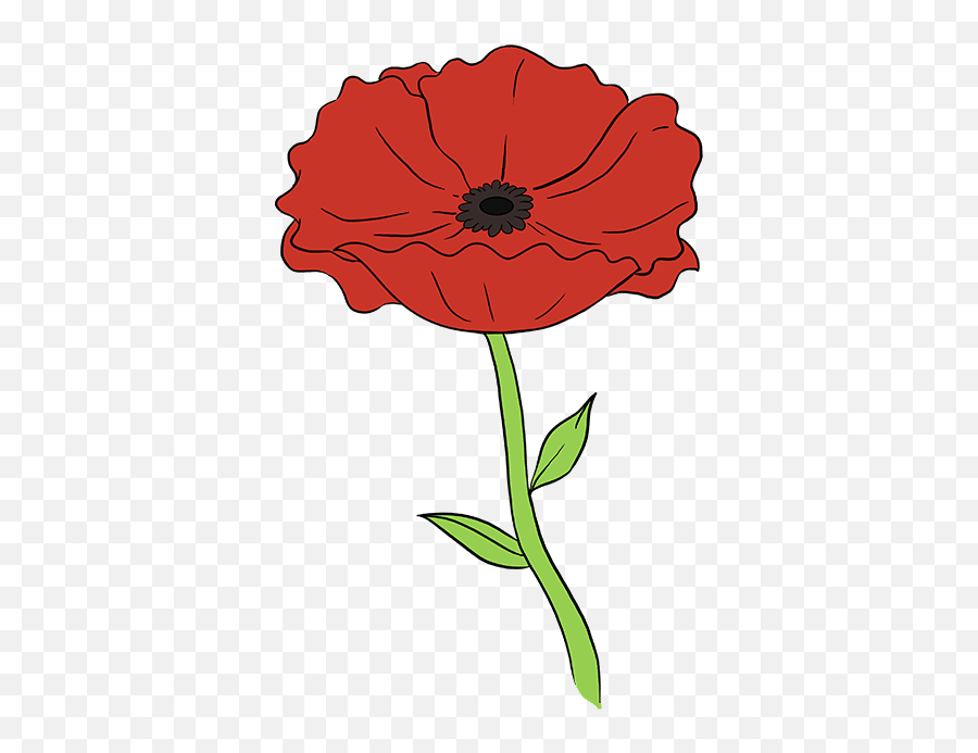 How To Draw A Poppy - Really Easy Drawing Tutorial Draw A Poppy Step By Step Png,Poppies Png