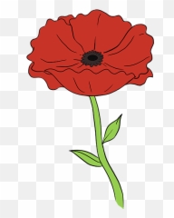 How To Draw A Poppy - Really Easy Drawing Tutorial Draw A Poppy Step By Step Png,Poppies Png