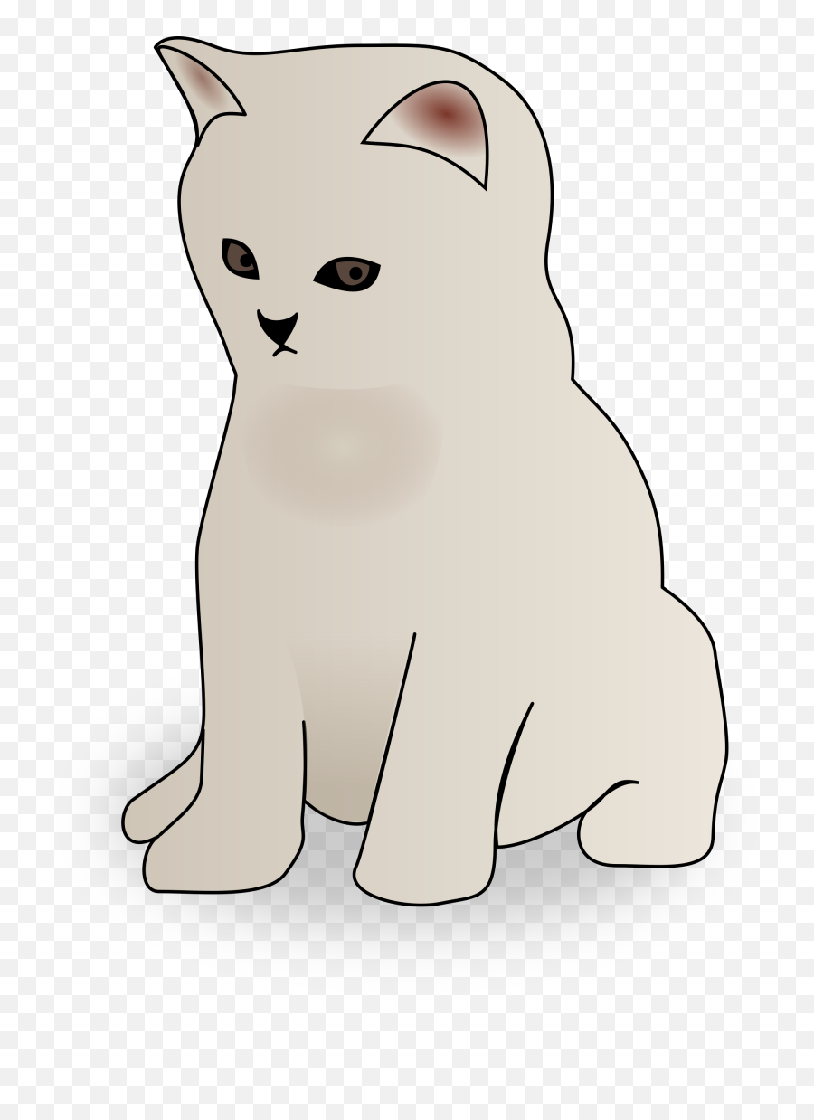 Cute Kittens Png Background Kitten Transparent