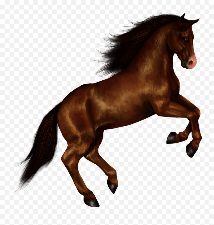 Horse Right Jump Transparent Png - Stickpng Horse Png,Horse Running Png