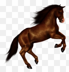 Horse Right Jump Transparent Png - Stickpng Horse Png,Horse Running Png