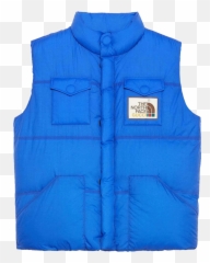 The Best Ski Wear To Hit Slopes In Style British Vogue - North Face X Gucci Down Vest png