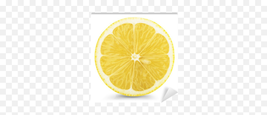 Wall Mural Lemon Slice - Pixersus Juice Vesicles Png,Lemon Slice Icon