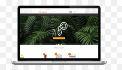 How To Improve Your B2b Website Design Sana Commerce - png