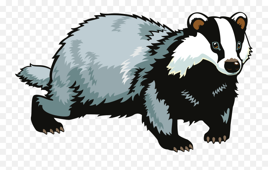 Badger Png