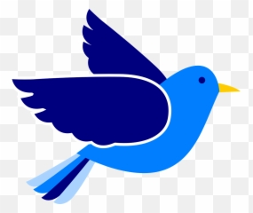 Flying Bird Clipart Transparent - Background png