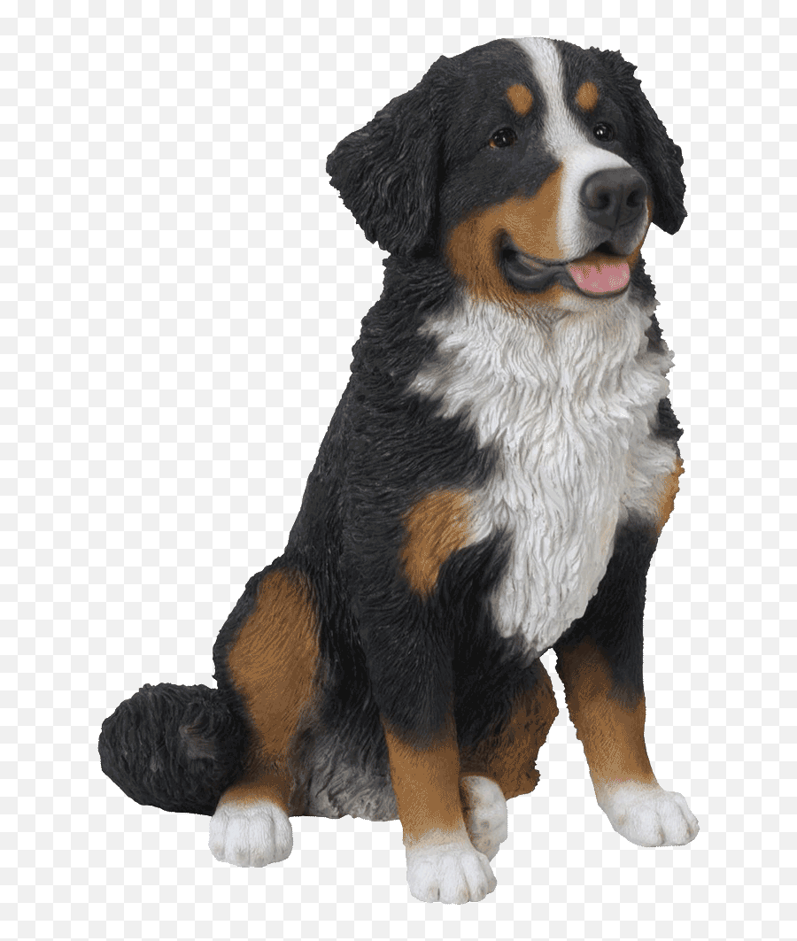 Bernese Mountain Dog Breed Greater S 1775798 - Png Bernese Mountain Dog Clip Art,Dog Clipart Transparent Background