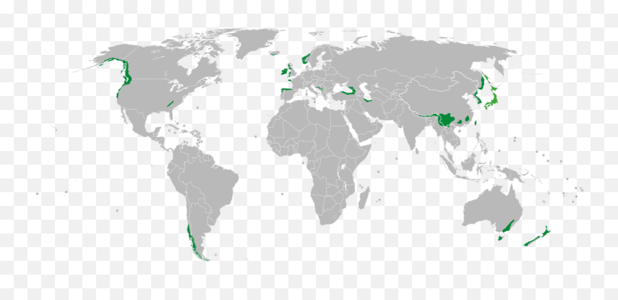 Filetemperate Rainforest Mapsvg - Wikimedia Commons World Map Mexico And Spain Png,Rainforest Png
