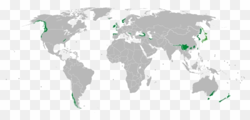 Filetemperate Rainforest Mapsvg - Wikimedia Commons World Map Mexico And Spain Png,Rainforest Png