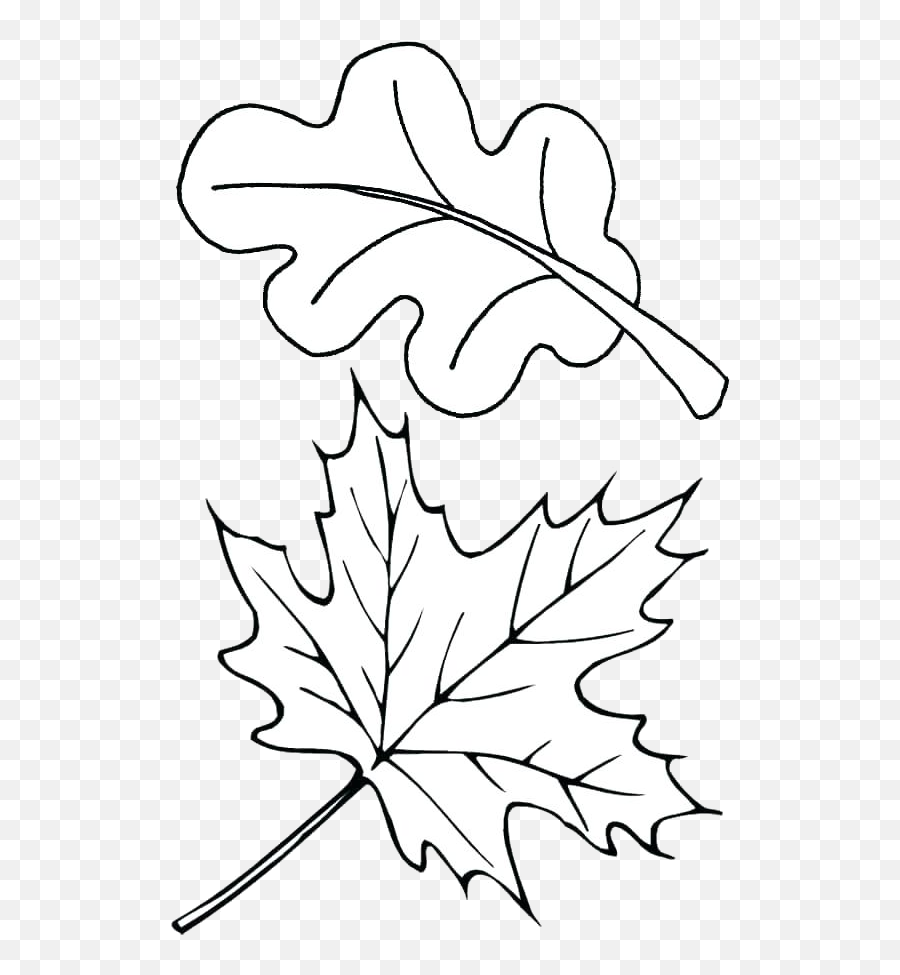 Leaf Outline Autumn Outlines Fall Clip A 1188570 - Png Fall Leaves Coloring Pages,Leaf Outline Png
