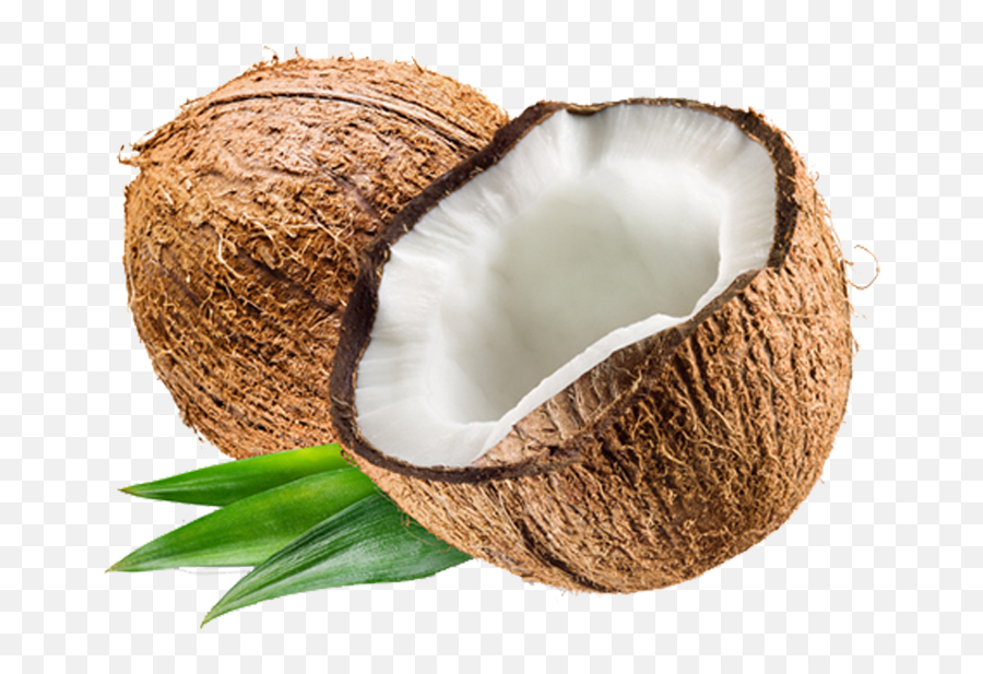 Transparent Background Coconut Png - Transparent Background Coconut Transparent Png,Coconut Transparent Background