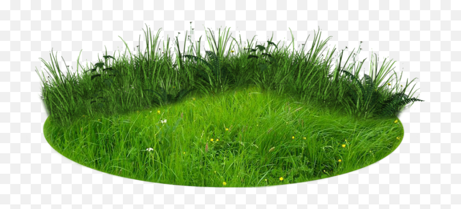 Free Cliparts Png - Transparent Background Grass Patch Png,Png Image
