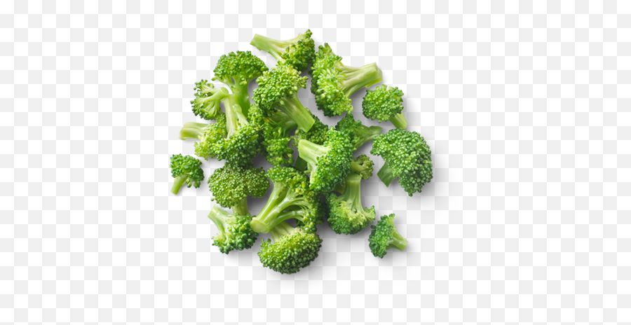 Broccoli Png - Broccoli Florets,Broccoli Png