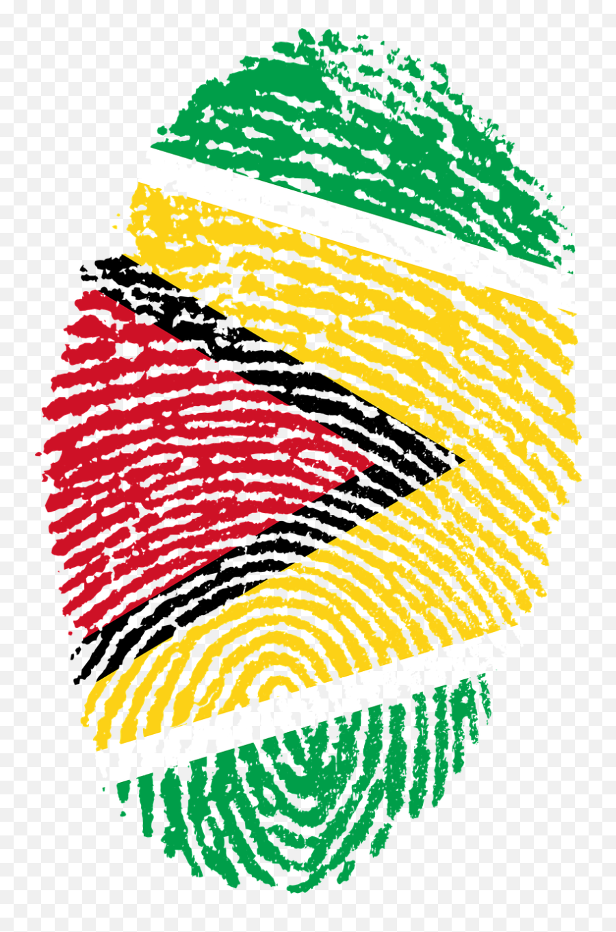 Guyana Flag Fingerprint - Curacao Flag Png,Guyana Flag Png