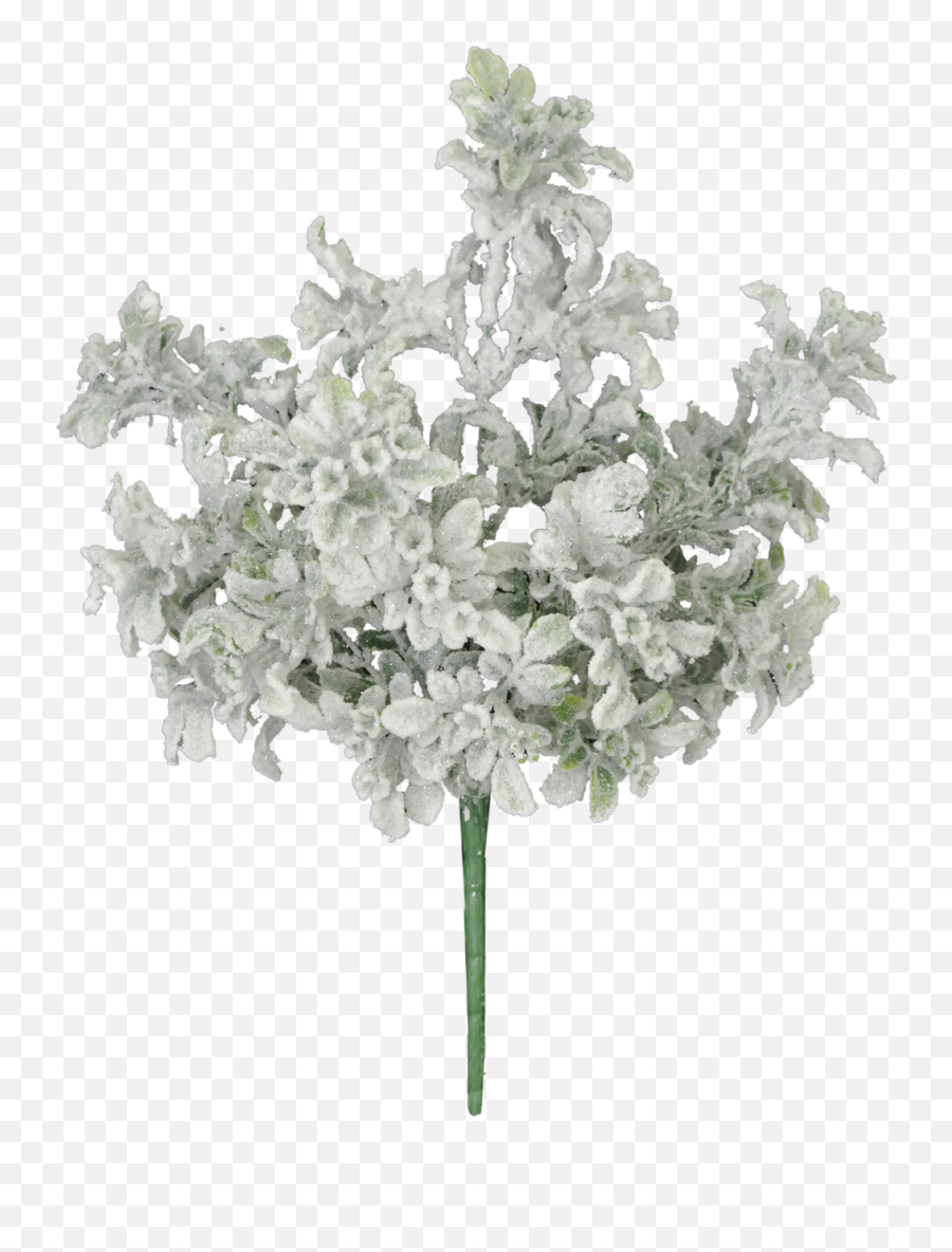 15 Snowy Flocked Boxwood Bush - Bouquet Png,Boxwood Png