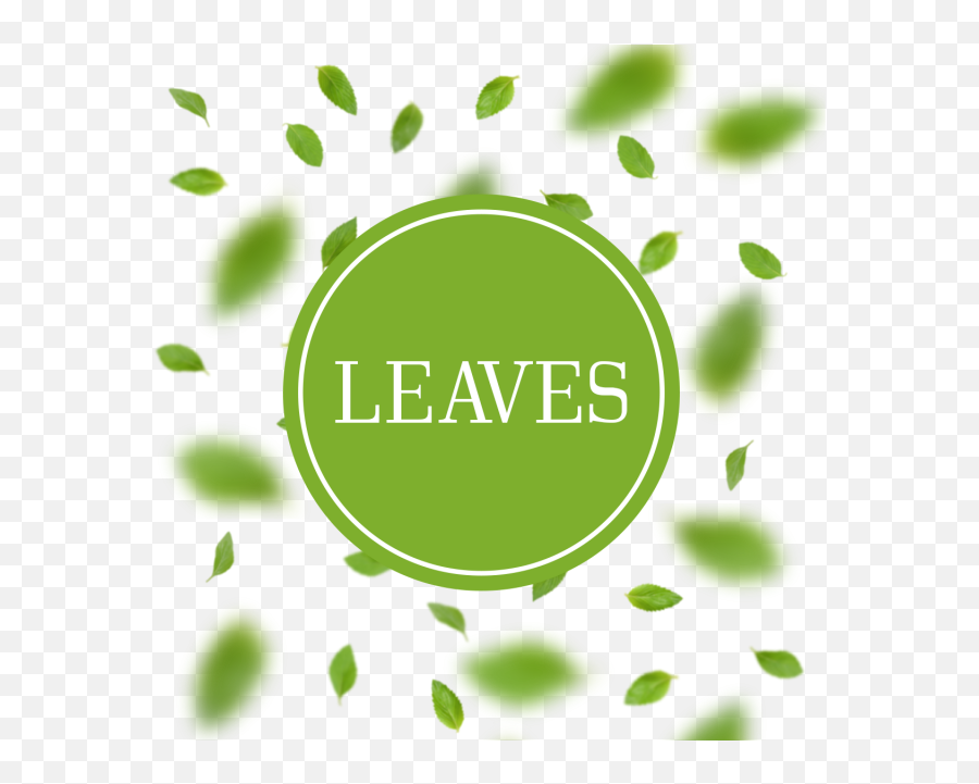 Download Leaves Arrangement Background With Blur - Circle Png,Blur Png