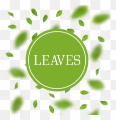 Download Leaves Arrangement Background With Blur - Circle png