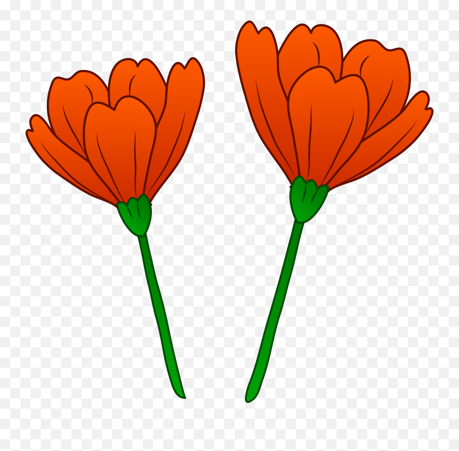 Free Poppy Flower Png Download Clip Art - California Poppy Clip Art,Poppies Png