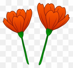 Free Poppy Flower Png Download Clip Art - California Poppy Clip Art,Poppies Png