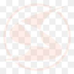 Simcon - SiteIconlightorange Company Dot png