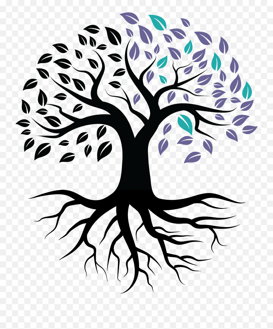 Novus Anesthesia Partners - Silhouette Tree With Roots Clipart Png,Icon Locum Tenens