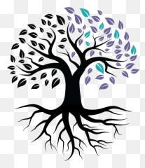 Novus Anesthesia Partners - Silhouette Tree With Roots Clipart Png,Icon Locum Tenens