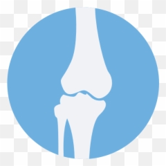 Lipids Iron Calcium U0026 Others - VEGETAL CONVERSION Bone Flaticon png