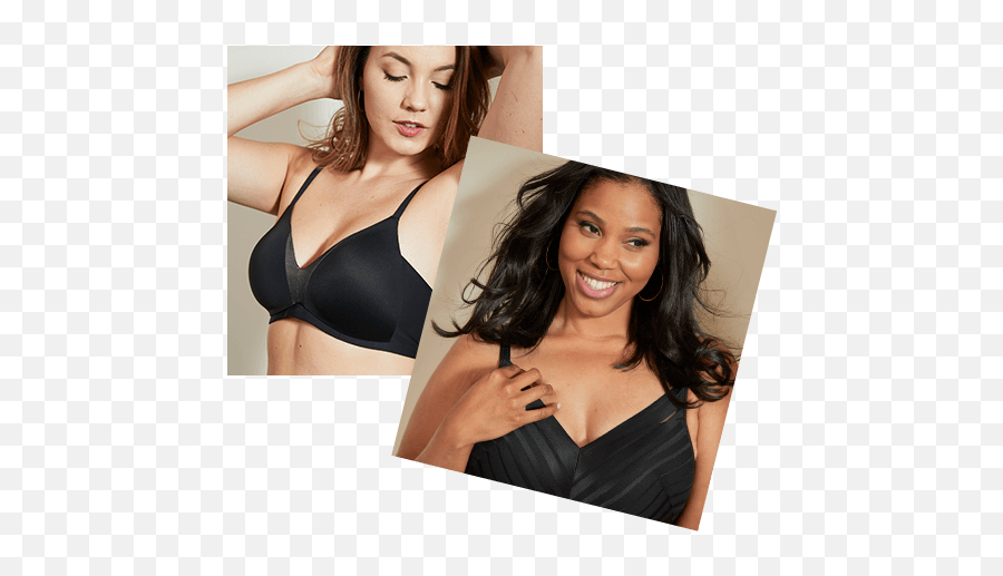 Dora L International Solutions For Intimate Apparel Png Ultimo Icon Bra