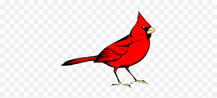 Red Bird Transparent Png Image - Clip Art Cardinal Bird,Cardinal Png