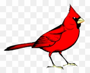 Red Bird Transparent Png Image - Clip Art Cardinal