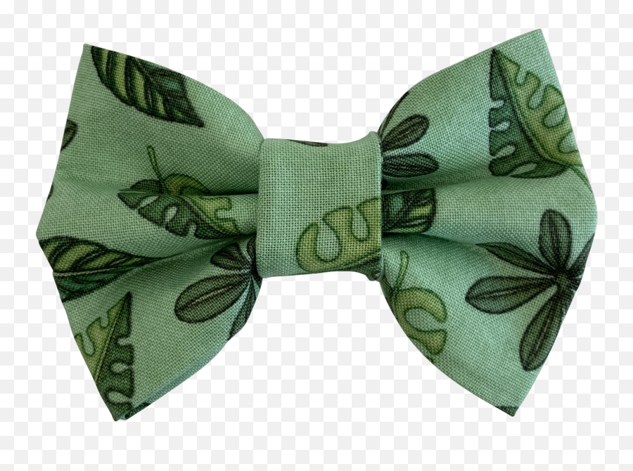 Mangrove Bow Tie - Paisley Png,Mangrove Png