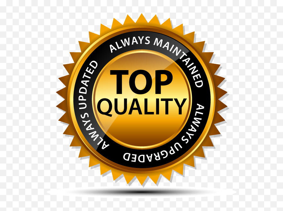 Картинка про качество. Значок качества. Логотип 100 качество. Значок гарантия качества. Quality лого.