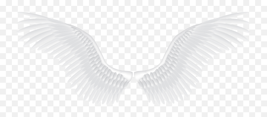 Download White Wings Png Image For Free - White Angel Wings Png,Wing Png