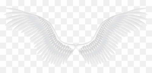 Free Transparent White Wings Png Images Page 1 Pngaaa Com - roblox black and white wings