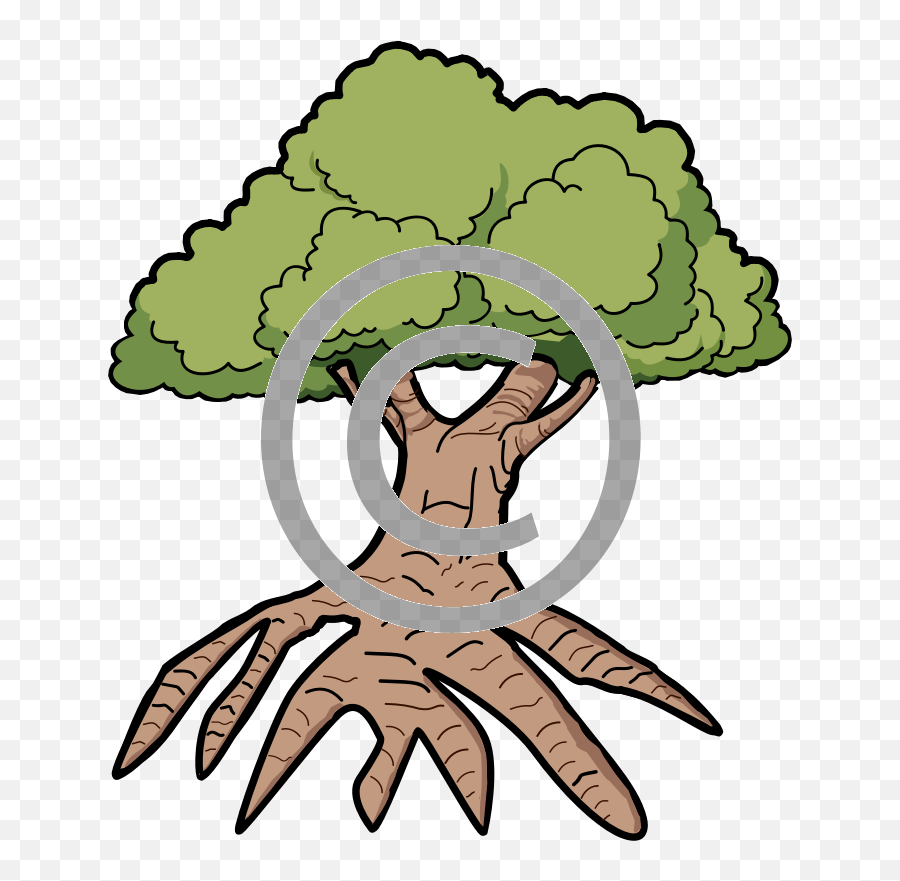 Tree With Long Roots - Clipart Oak Tree Png,Tree Roots Png