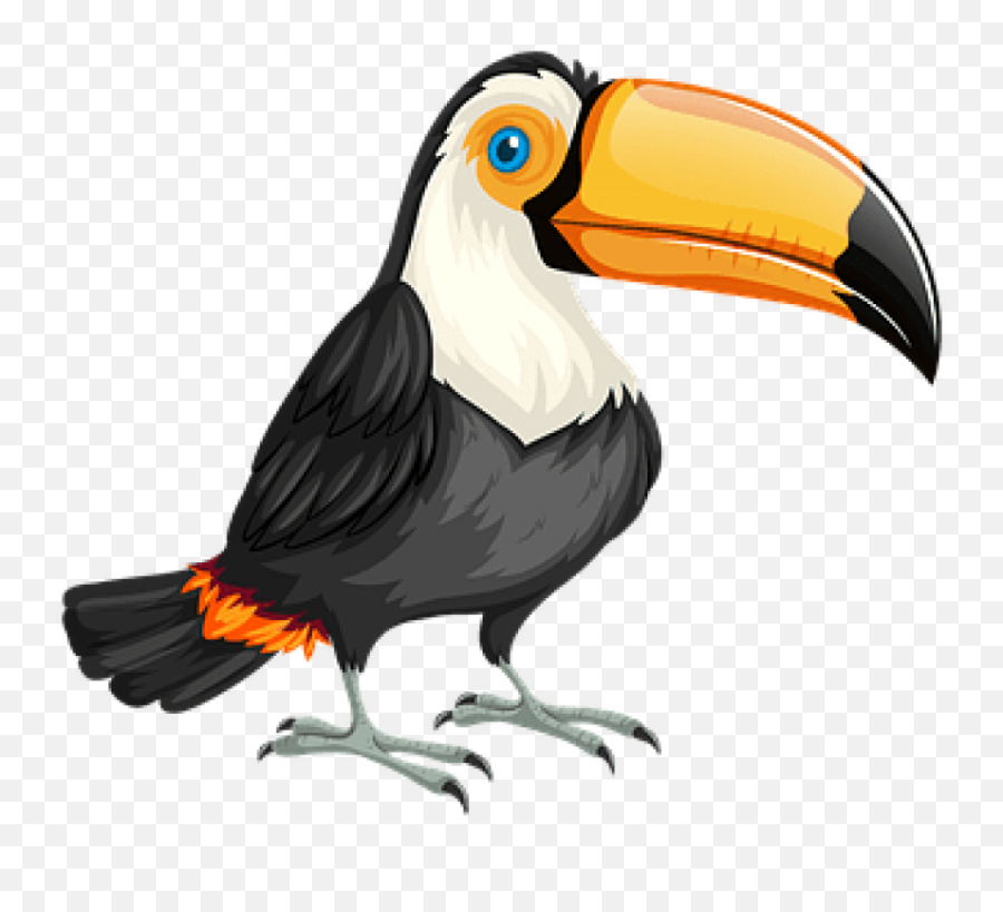 Download Free Png Bandeira Do Brasil Com Um Tucano - Transparent Background Toucan Clipart,Bandeira Brasil Png